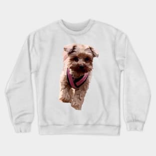 personalized for jacqueline felix 6 Crewneck Sweatshirt